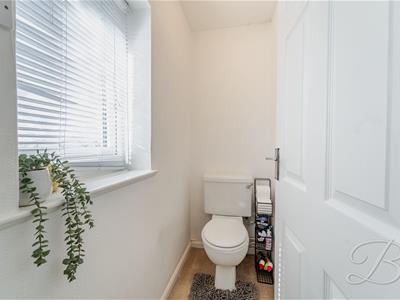 Picture 28